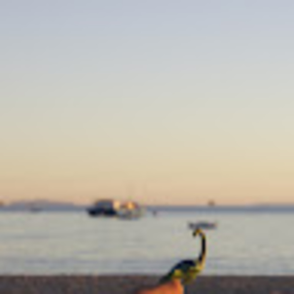 Meet your Posher, Ansley